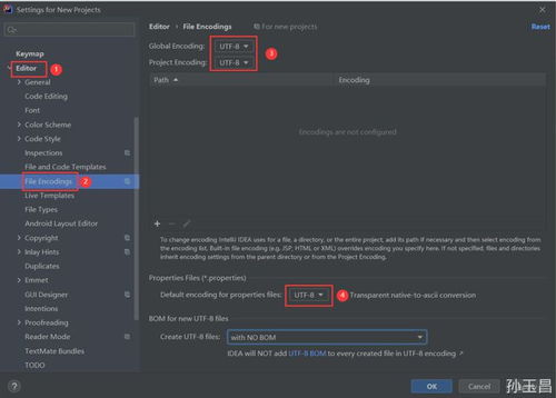 IntelliJ IDEA 2019.3 纯净安全的应用软件开发